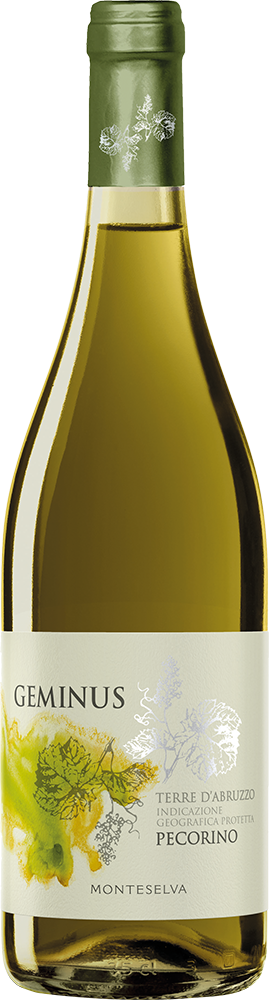 2024 Geminus Terre d'Abruzzo IGP