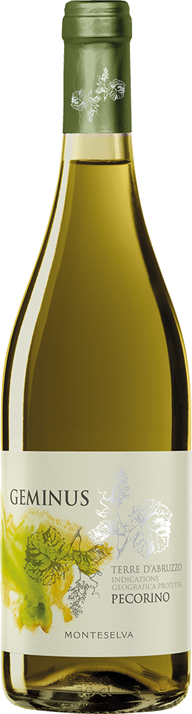 2024 Geminus Terre d'Abruzzo IGP 2024 Geminus Terre d'Abruzzo IGP