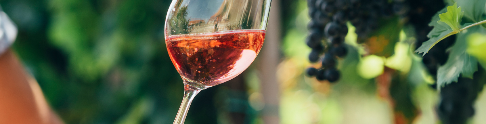 wine-tasting-in-outdoor-winery-2025-02-10-10-44-26-utc