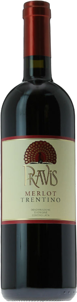 2020 Merlot Trentino DOC