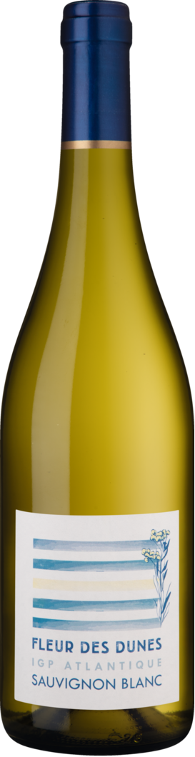 Jules Lebègue 2025 Fleur des Dunes