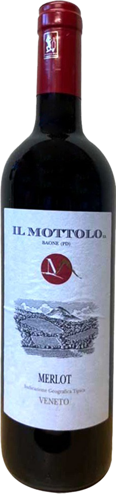 2020 Merlot Veneto IGP 2020 Merlot Veneto IGP