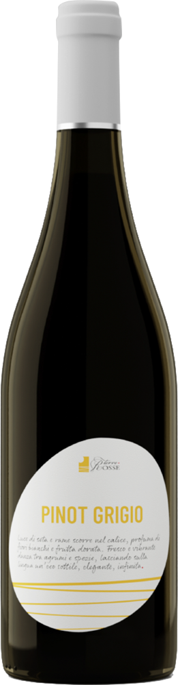 2024 Pinot Grigio Friuli DOC 2024 Pinot Grigio Friuli DOC