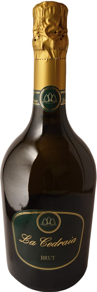 Brut Brut