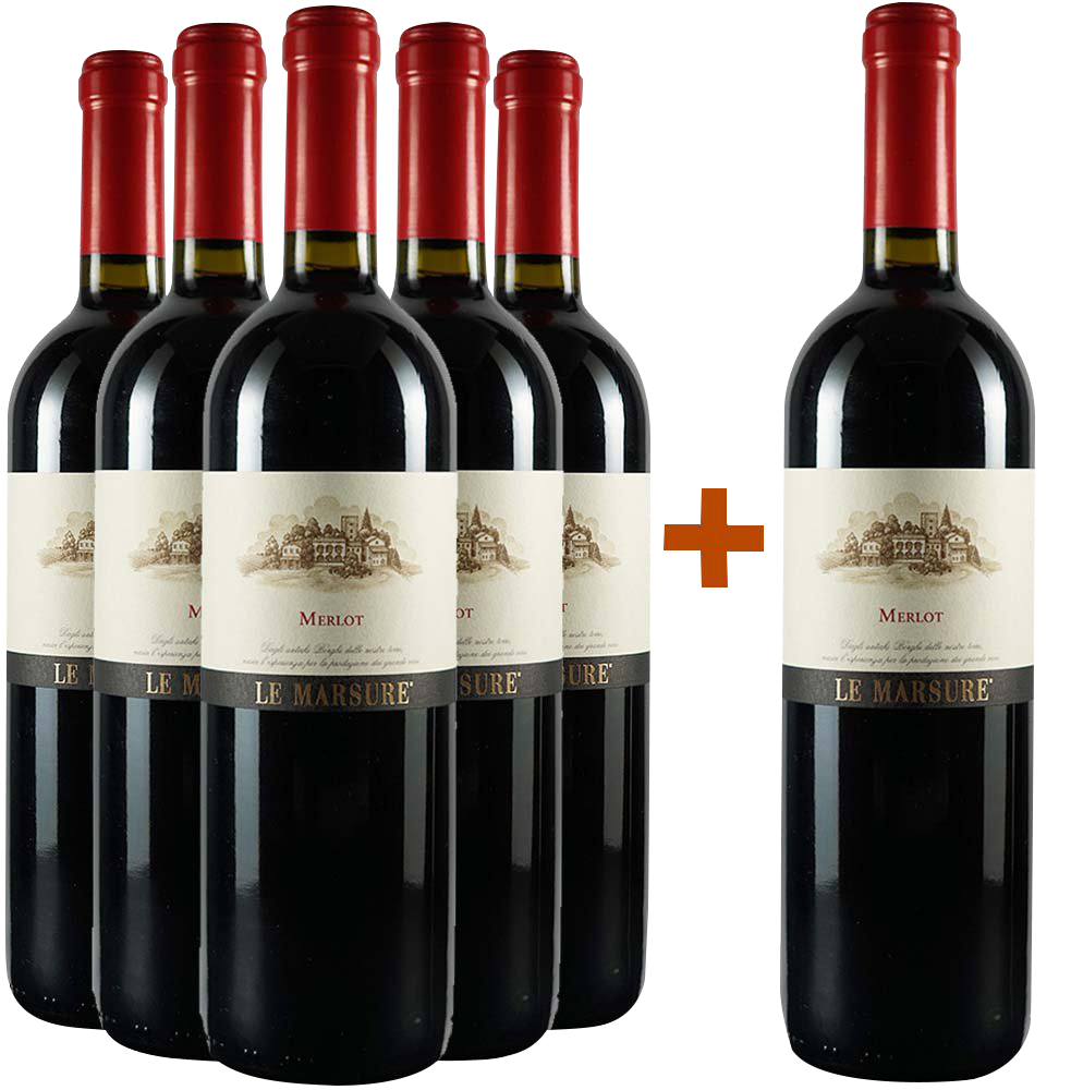 5+1 Merlot Le Marsure Friuli DOC