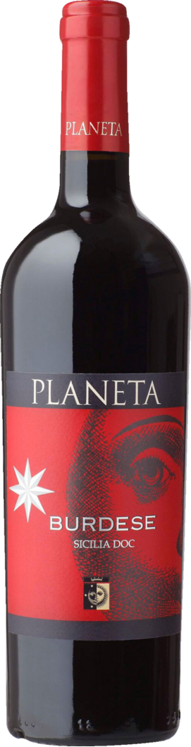 Planeta 2020 Burdese