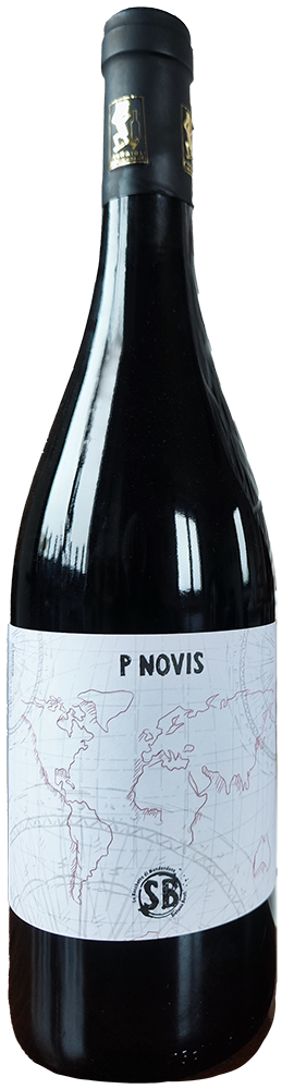 2017 P Novis 2017 P Novis