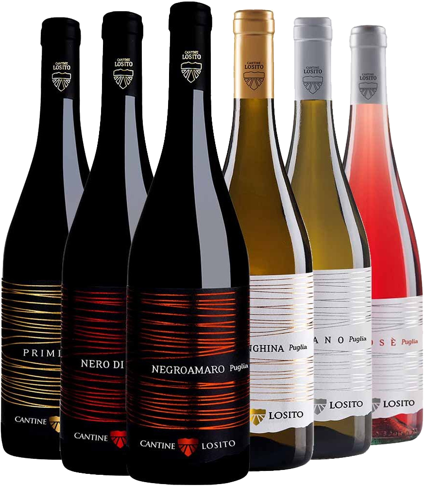 Cantine Losito Box Degustazione BIO Cantine Losito Box Degustazione BIO