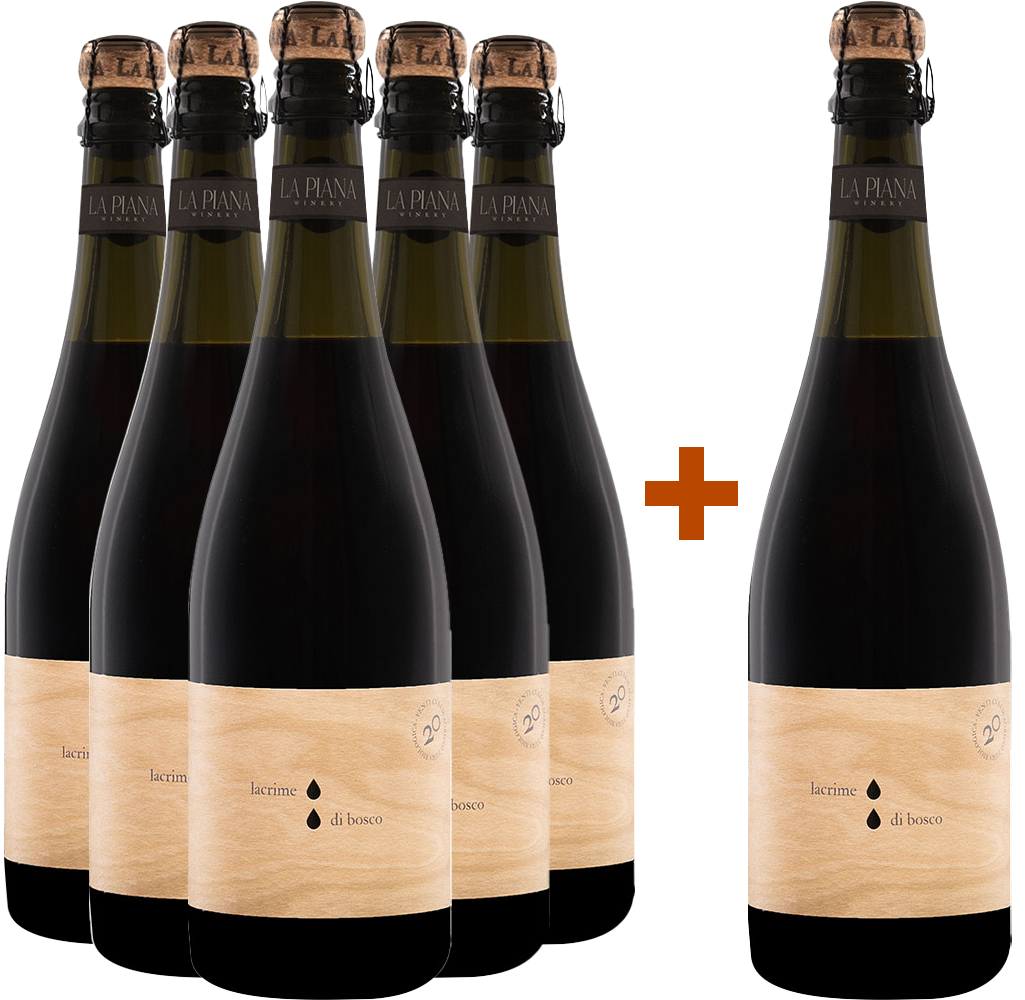 5+1 Lacrime di Bosco Lambrusco Grasparossa di Castelvetro DOC BIO 5+1 Lacrime di Bosco Lambrusco Grasparossa di Castelvetro DOC BIO