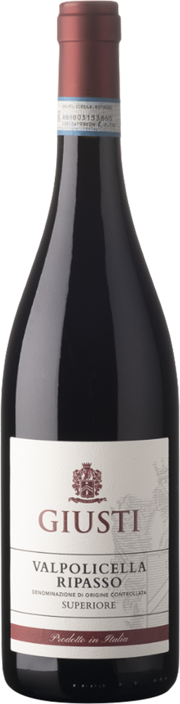 2019 Valpolicella Ripasso Superiore DOC