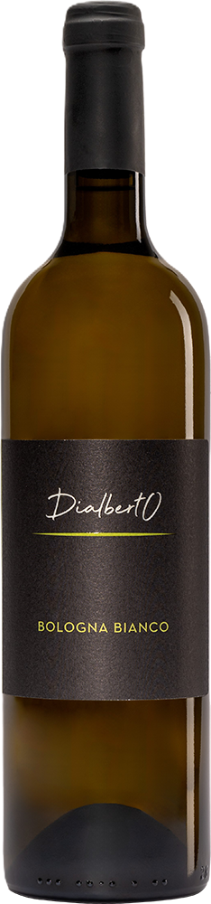 2024 DialbertO Colli Bolognesi Bologna Bianco DOC BIO