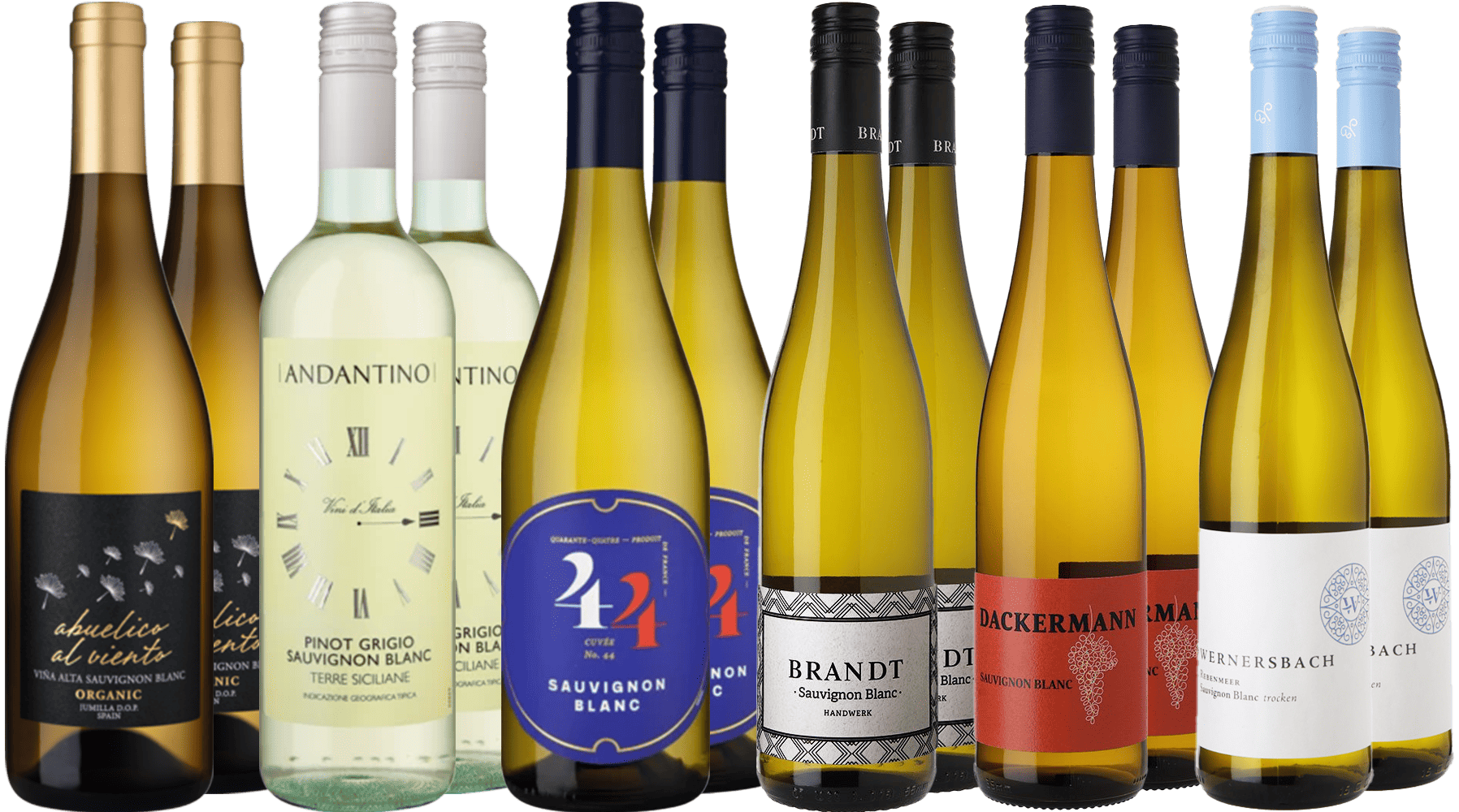 WirWinzer Select Großes Sauvignon Blanc Reise