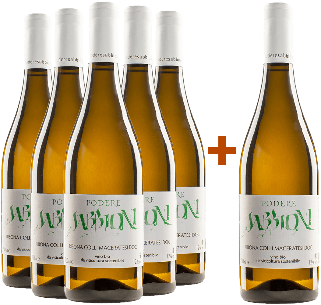 5+1 Ribona Colli Maceratesi DOC BIO 5+1 Ribona Colli Maceratesi DOC BIO