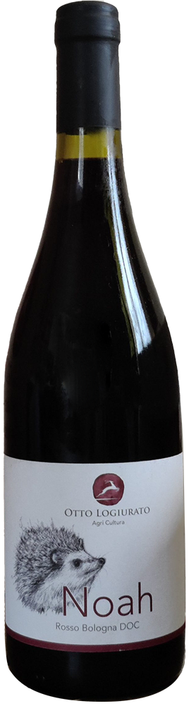 2023 Noah Colli Bolognesi DOC 2023 Noah Colli Bolognesi DOC