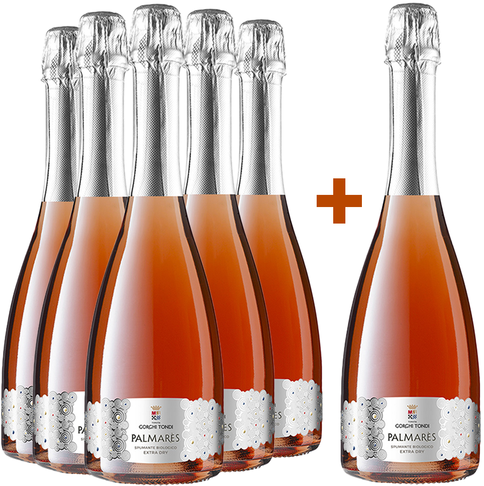 5+1 Palmarès Spumante Rosé BIO 5+1 Palmarès Spumante Rosé BIO