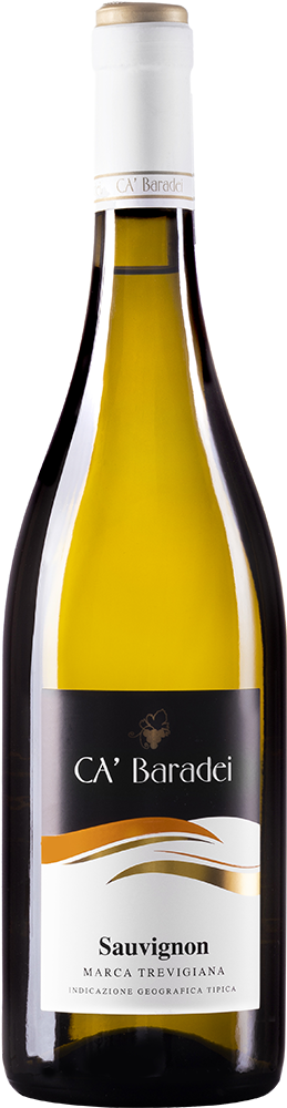 2024 Sauvignon Marca Trevigiana IGP 2024 Sauvignon Marca Trevigiana IGP