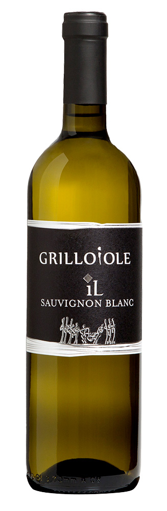 2023 Sauvignon IL Friuli Colli Orientali DOC