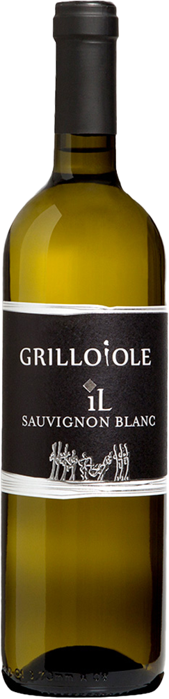 2023 Sauvignon IL Friuli Colli Orientali DOC