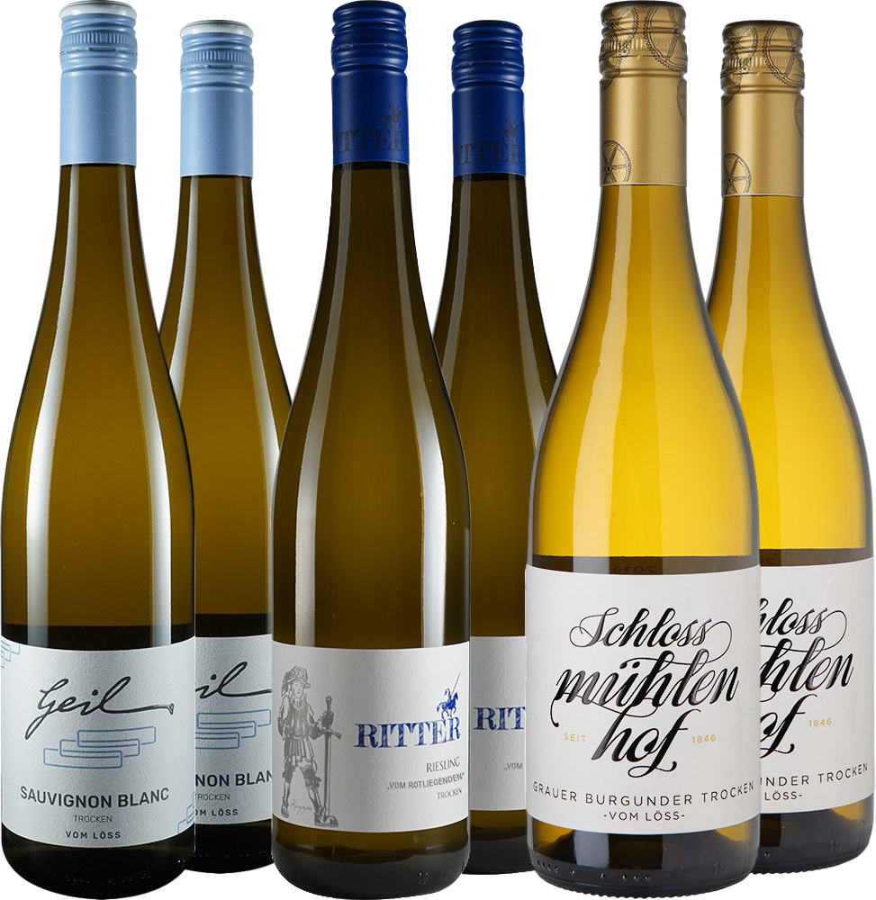 WirWinzer Select Weißwein Entdecker-Paket