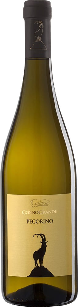 2024 Corno Grande Pecorino Terre d'Abruzzo IGP 2024 Corno Grande Pecorino Terre d'Abruzzo IGP