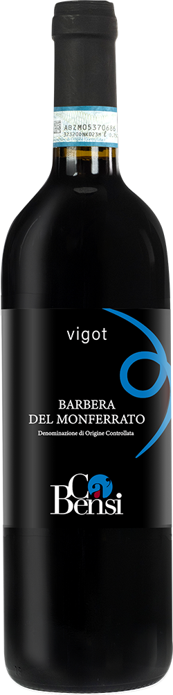 2022 Vigot Barbera del Monferrato DOC
