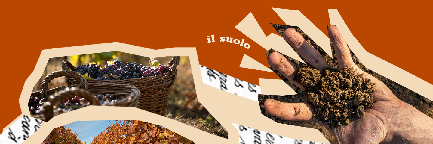 Suolo e vino: come il terreno influenza il carattere di ogni bottiglia Suolo e vino: come il terreno influenza il carattere di ogni bottiglia