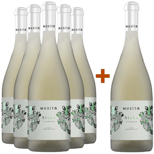 5+1 Aysha Catarratto Terre Siciliane IGP 5+1 Aysha Catarratto Terre Siciliane IGP