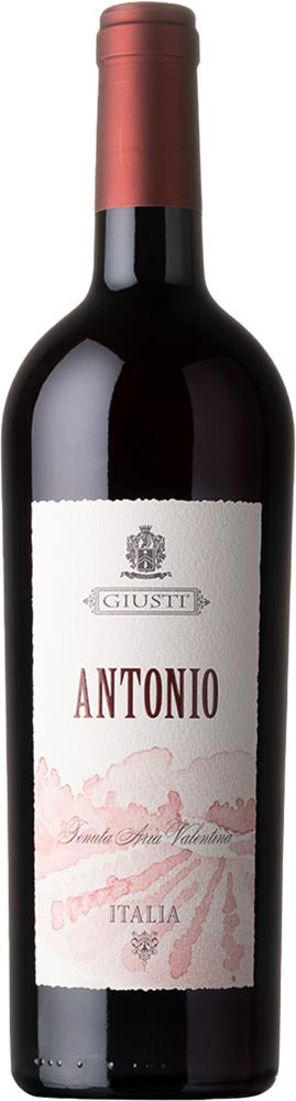 2020 Antonio Rosso Asolo Montello DOC