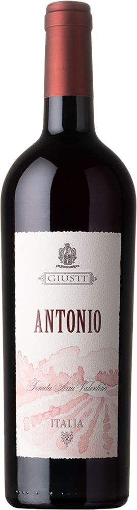 2020 Antonio Rosso Asolo Montello DOC 2020 Antonio Rosso Asolo Montello DOC
