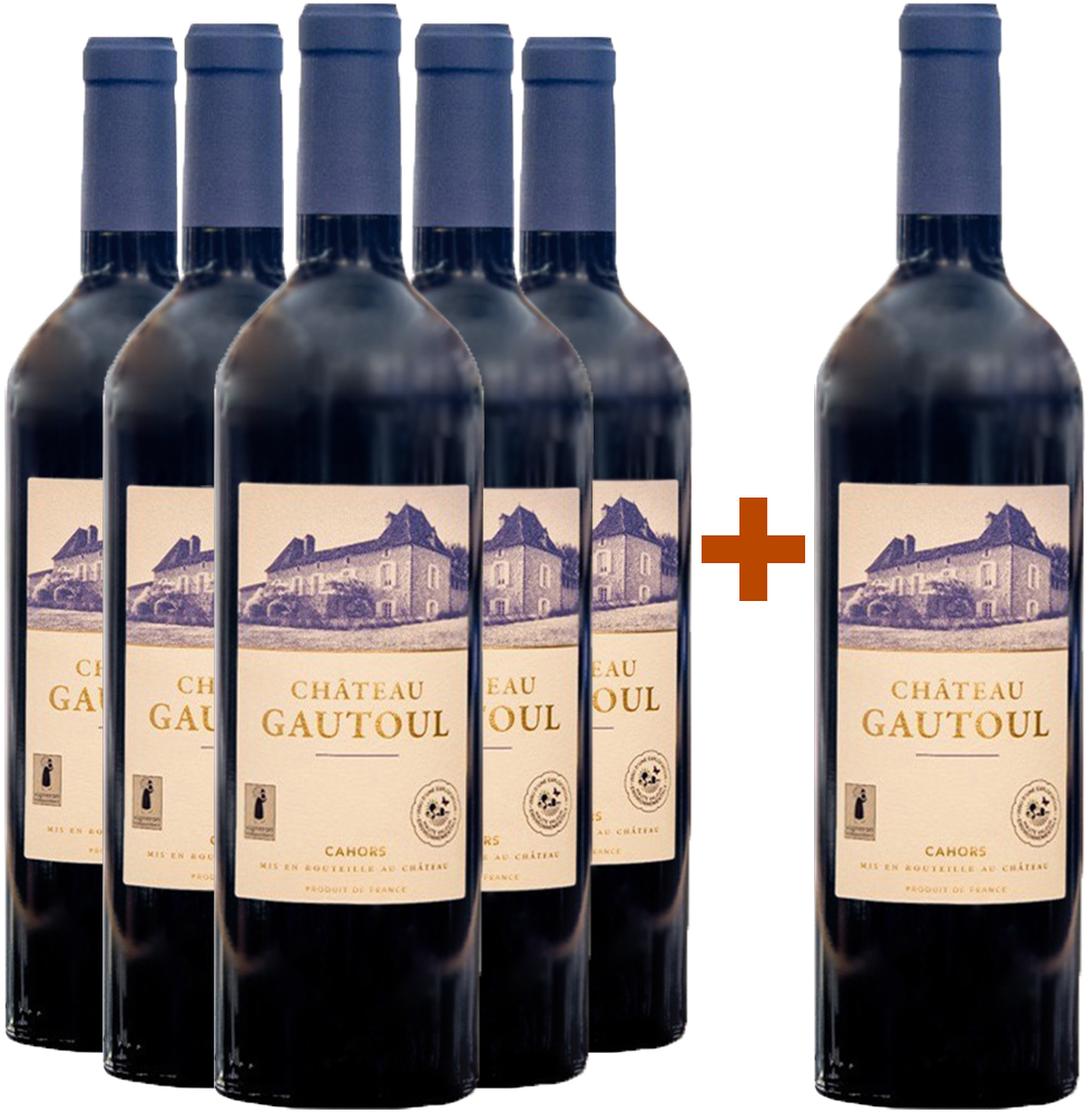 5+1 2015 Gautoul