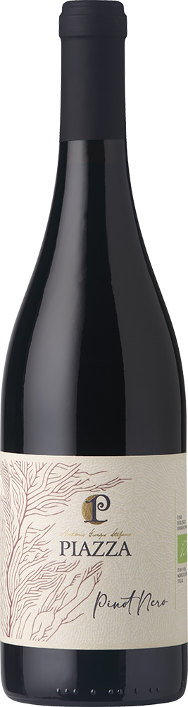 2024 Pinot Nero Veneto Orientale IGP BIO 2024 Pinot Nero Veneto Orientale IGP BIO