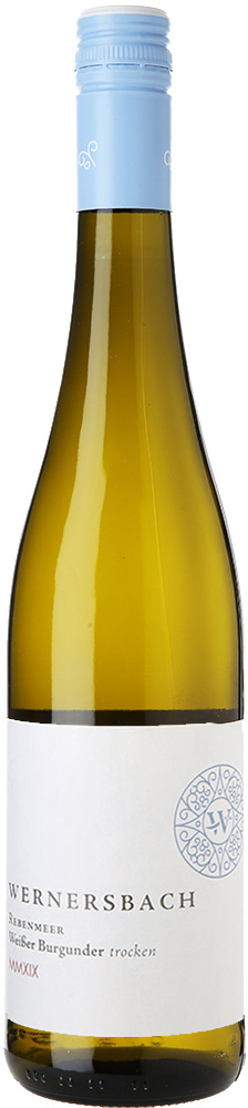 Weingut Wernersbach 2025 Rebenmeer Weißburgunder