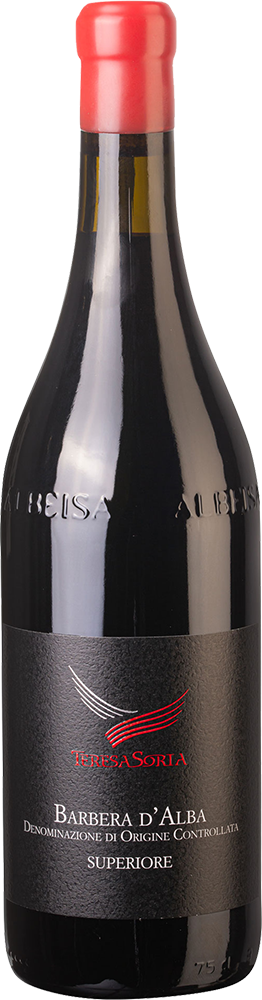 2021 Barbera D'Alba Superiore DOC