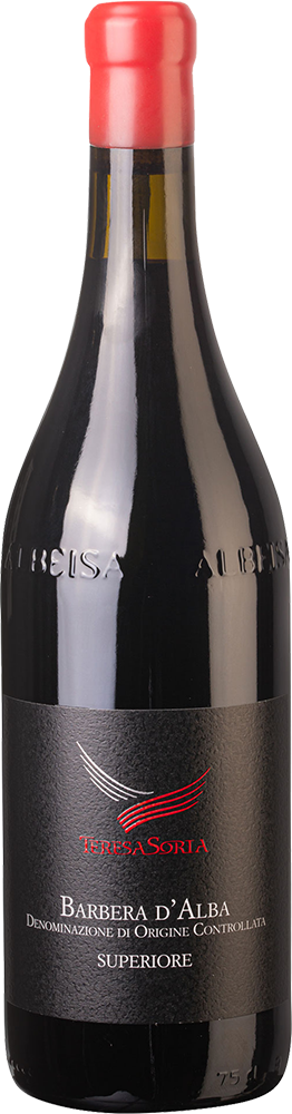 2021 Barbera D'Alba Superiore DOC 2021 Barbera D'Alba Superiore DOC