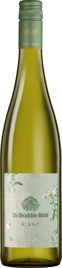 Weingut Dr. Bürklin-Wolf 2024 Dr. Bürklin-Wolf Cuvée Blanc BIO