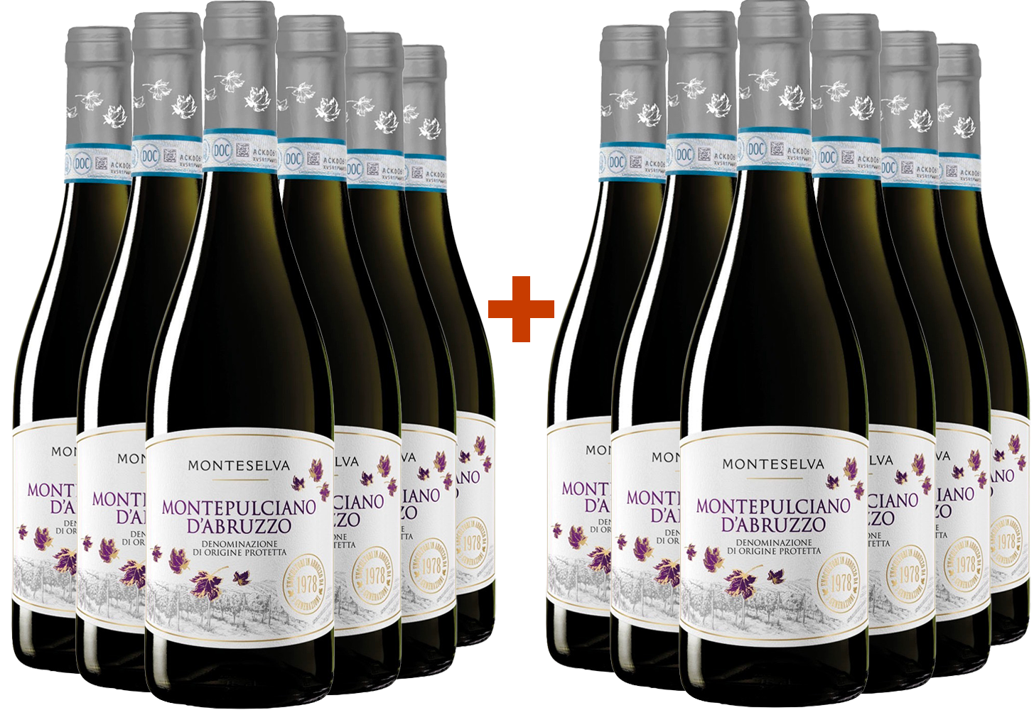 6+6 Paket Montepulciano d'Abruzzo 6+6 Paket Montepulciano d'Abruzzo