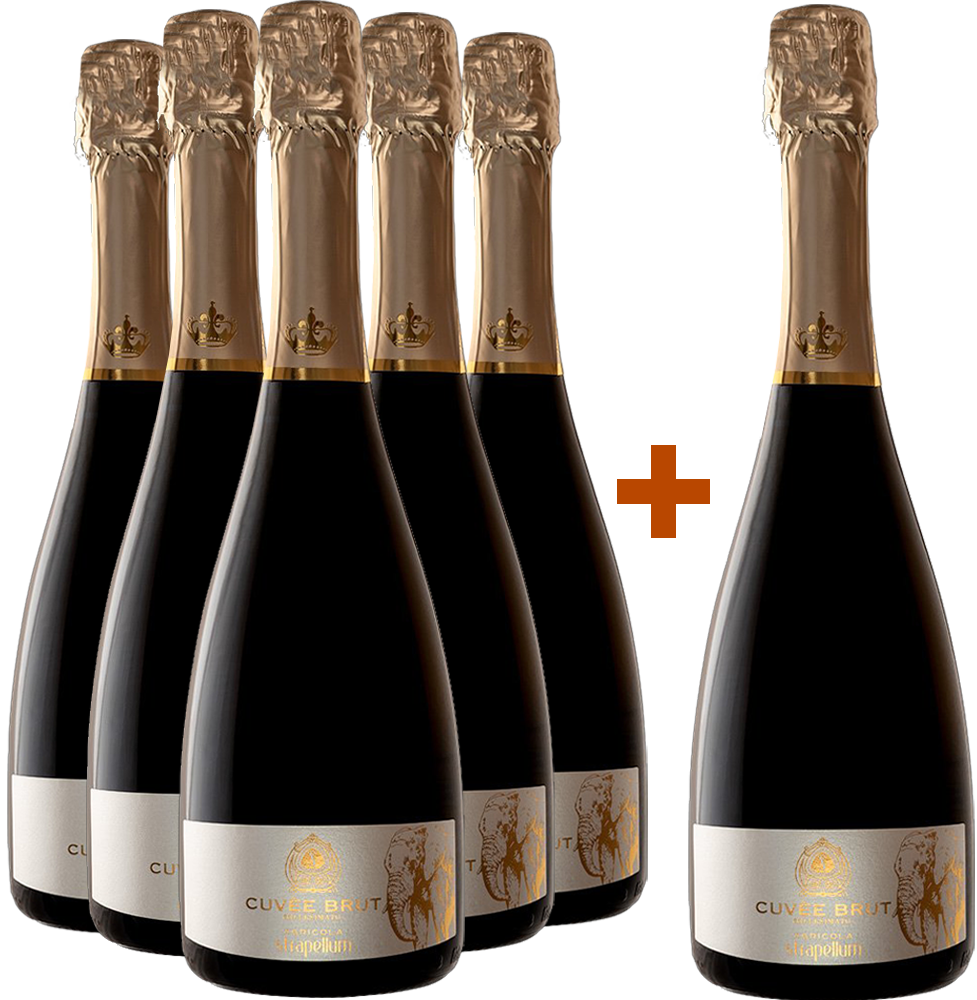 5+1 Spumante Cuvèe Millesimato 5+1 Spumante Cuvèe Millesimato