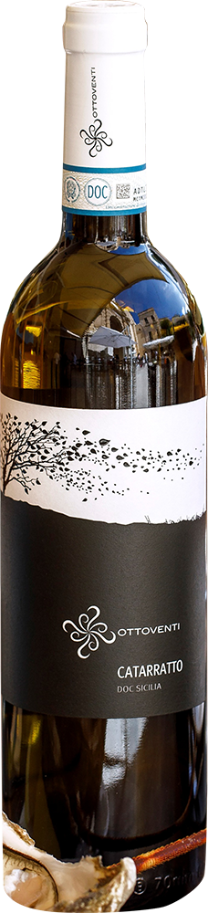 2024 Catarratto Sicilia DOC BIO 2024 Catarratto Sicilia DOC BIO
