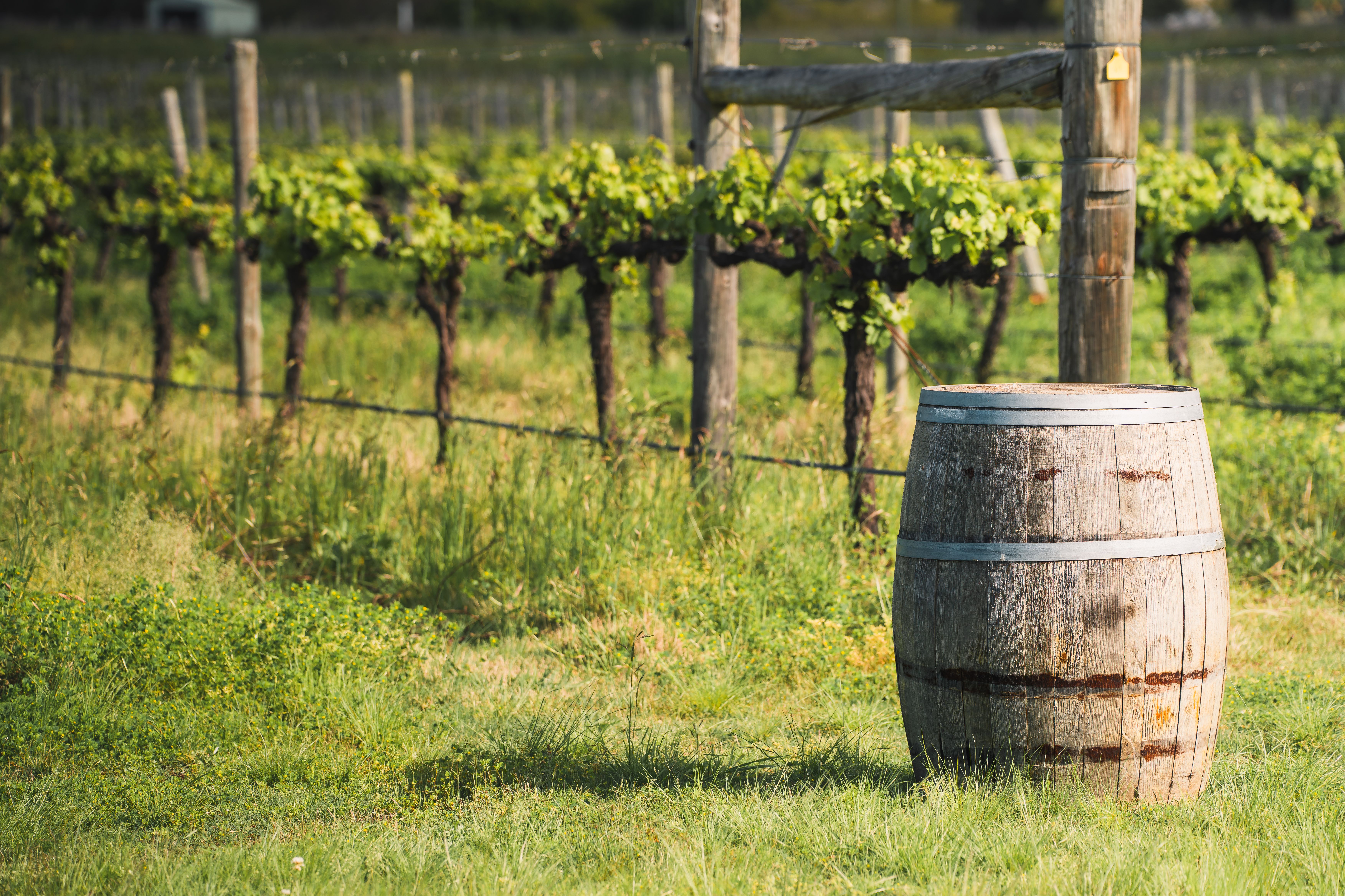 banner_denominazioni francesi