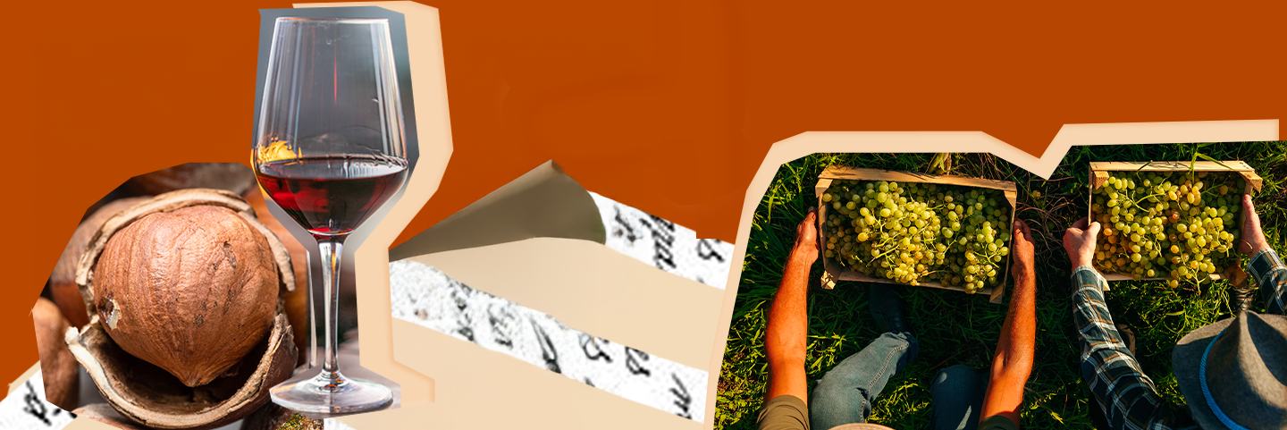 Vino del Piemonte: l’eccellenza che racconta un territorio Vino del Piemonte: l’eccellenza che racconta un territorio