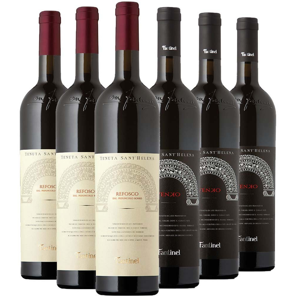 Fantinel Box Degustazione Rossi