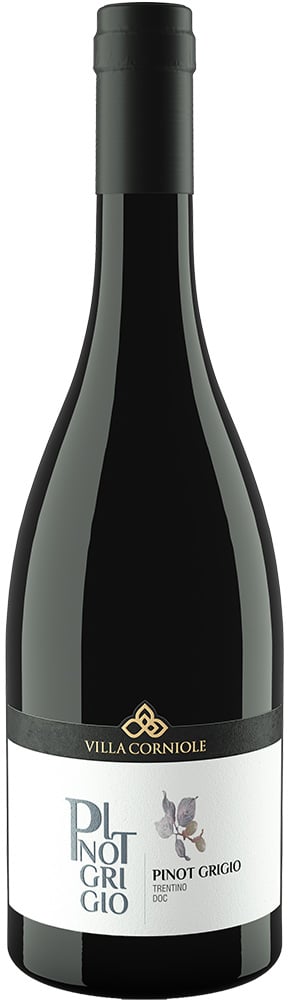 2023 Pinot Grigio Vigneti delle Dolomiti IGP 2023 Pinot Grigio Vigneti delle Dolomiti IGP