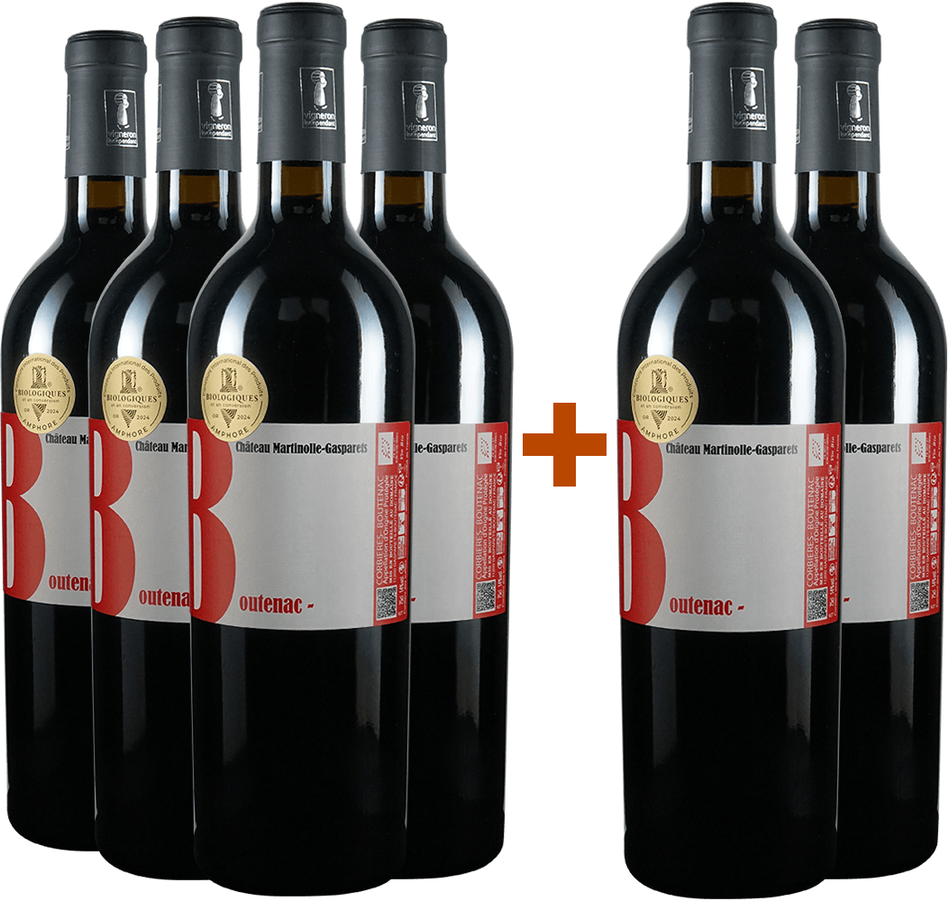 4+2 Cru Boutenac BIO
