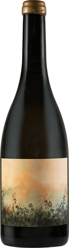 2024 Petricore Marche IGP BIO 2024 Petricore Marche IGP BIO