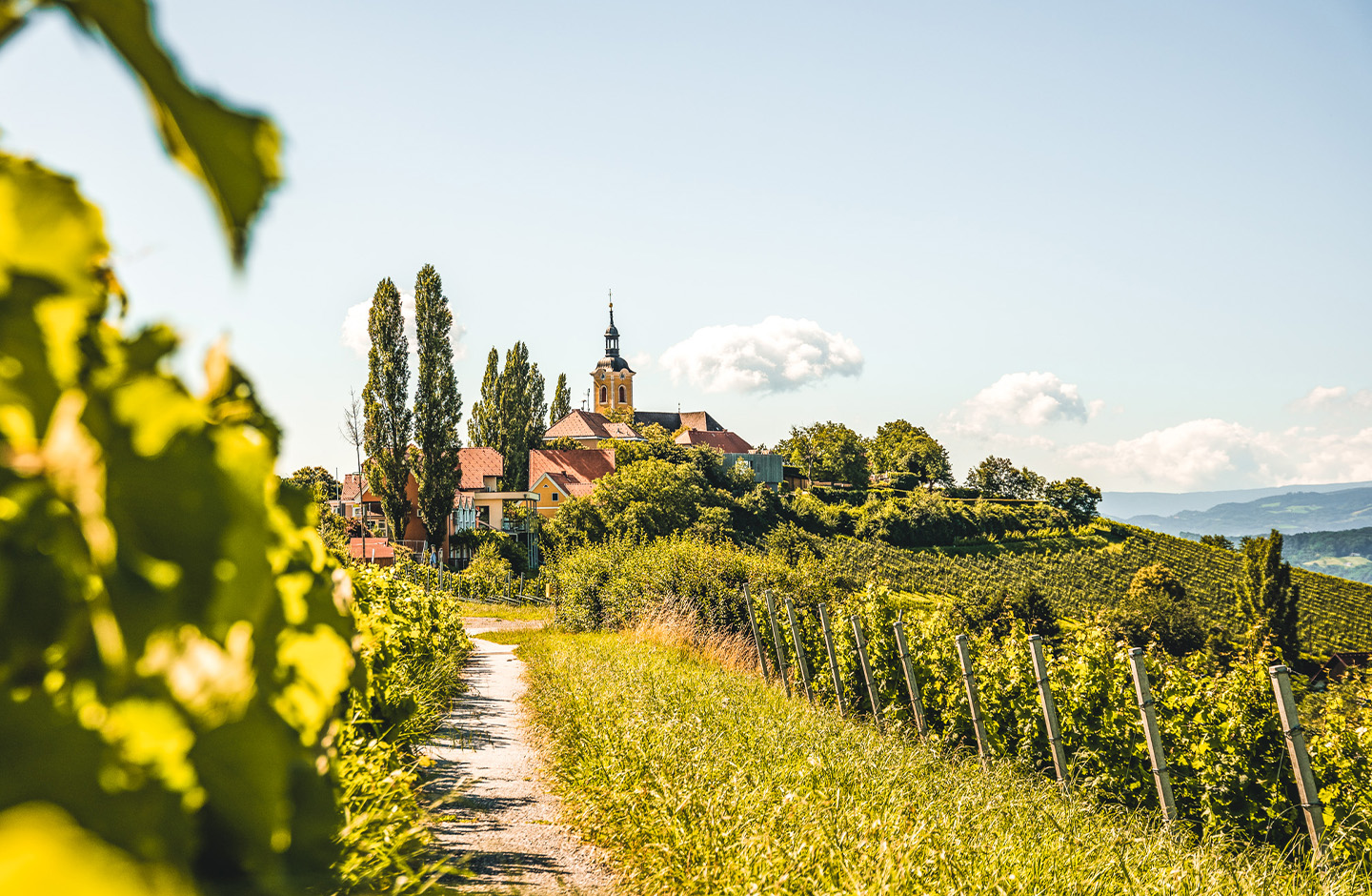 AT_generic_fallback_kit_vineyard_08