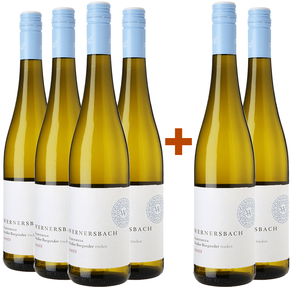 Weingut Wernersbach 4+2 Rebenmeer Weissburgunder