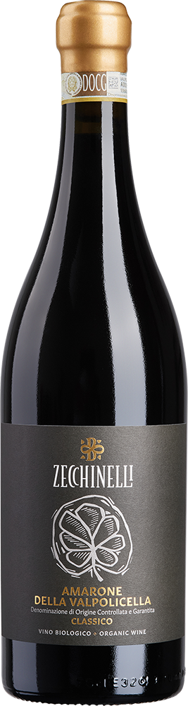 2019 Amarone della Valpolicella DOCG BIO