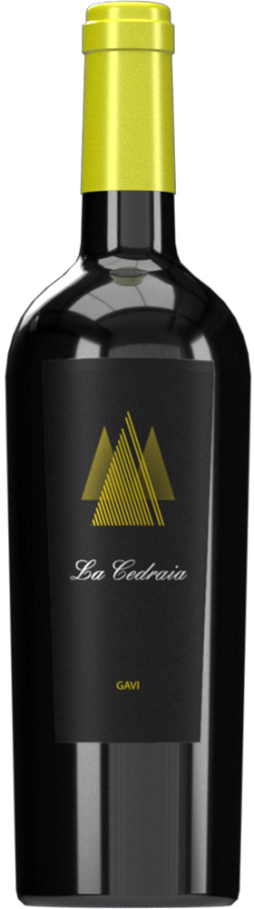 Gavi DOCG Selezione