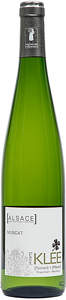 2023 Muscat d'Alsace AOP