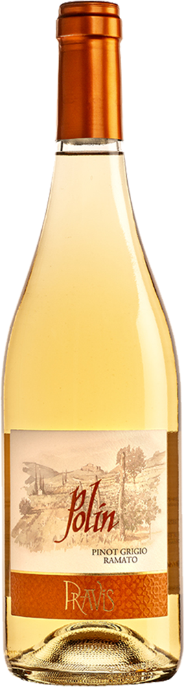 2023 Pinot Grigio Vigneti delle Dolomiti IGP